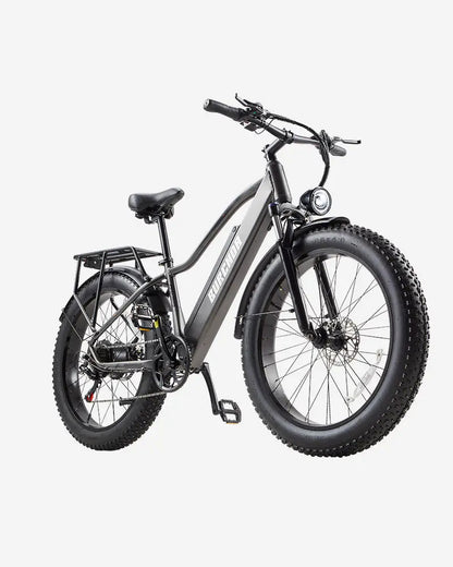 Burchda RX20